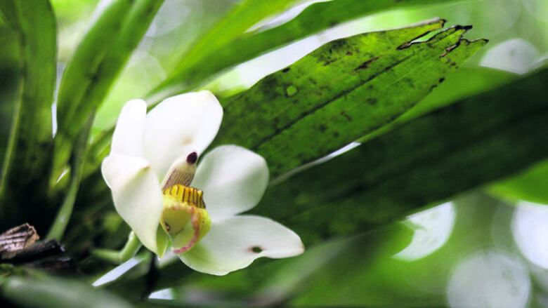 Desde lo alto del cerro