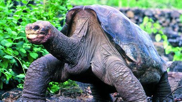 Barómetro de la biodiversidad