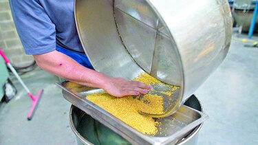 Impulsan mina de cobre en Ecuador