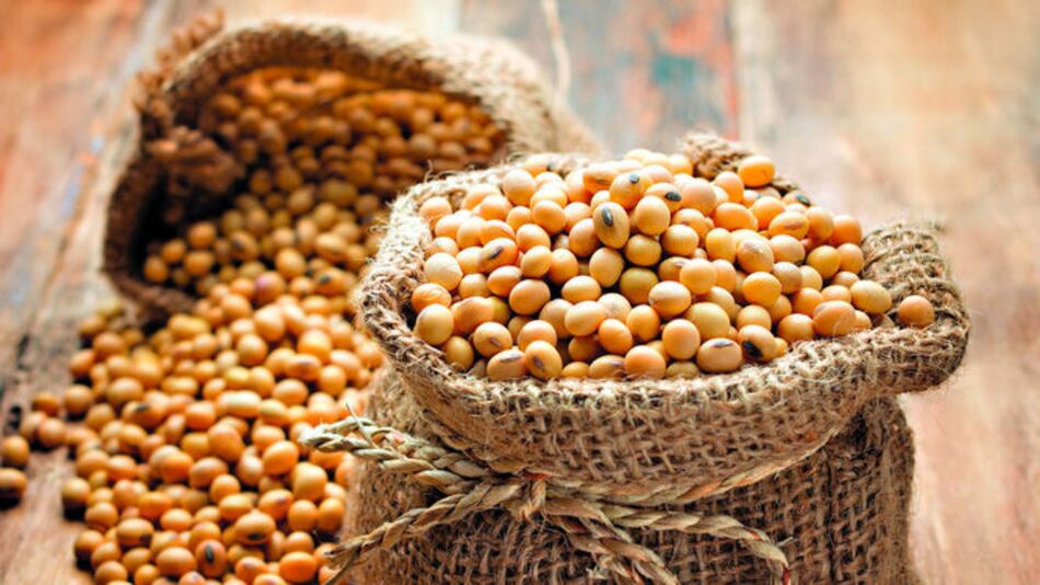 Rechazan tasa a venta de granos