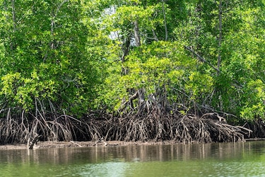 Puerto Barú: CSJ admite demanda contra resolución que aprobó estudio ambiental