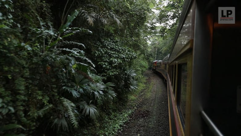 Un viaje nostálgico en el tren interoceánico