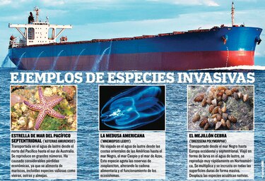 Inversión por el medio ambiente