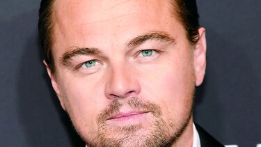 Leonardo DiCaprio, contento por enfoque global