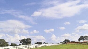 Pipo Virzi, detenido por pagos de H&H