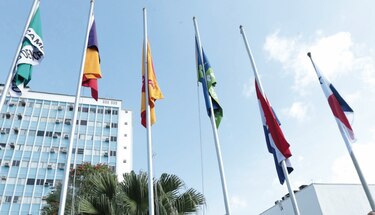 El fuero electoral no cobijaría a las directivas de los partidos