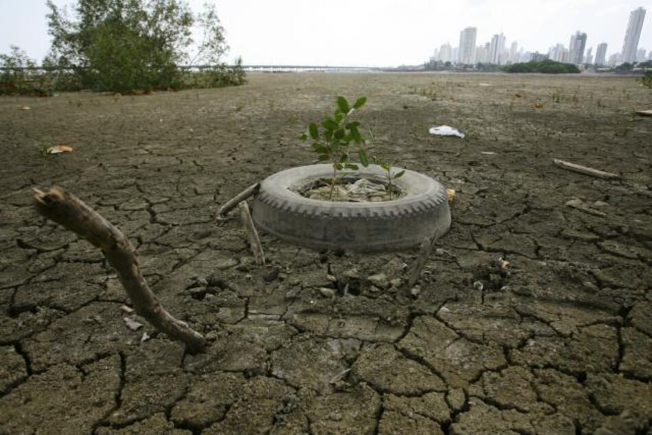 Fenómeno climático El Niño permanecerá neutral en primavera boreal