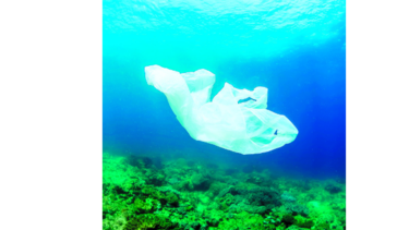 Adiós a las bolsas plásticas; vengan las ecológicas