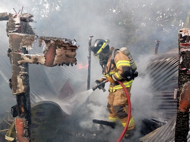 Emergencias por ataque de abejas superan a accidentes de tránsito y escapes de gas