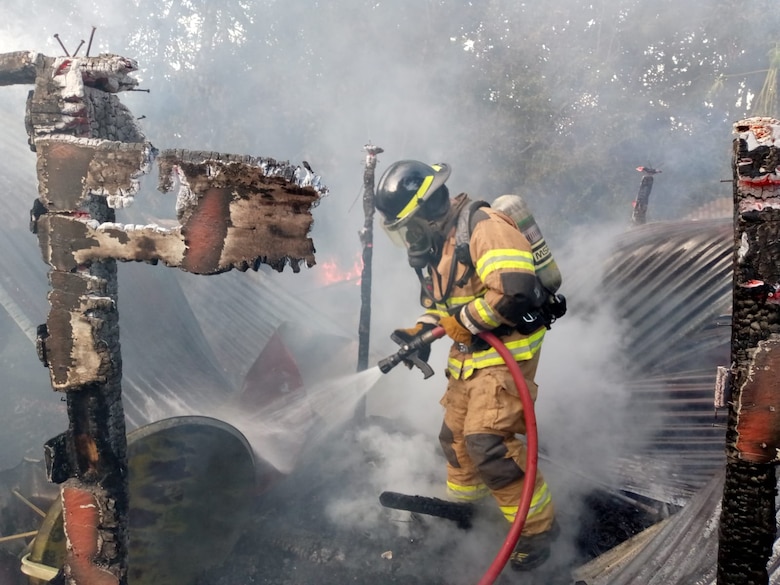 Emergencias por ataque de abejas superan a accidentes de tránsito y escapes de gas