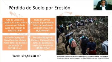 El paso de los migrantes irregulares por la selva de Darién tiene un costo ambiental de $12 millones