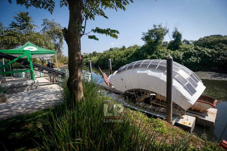 Marea Verde cita a los candidatos a alcalde de Panamá y de San Miguelito, para que conozcan a Wanda Díaz