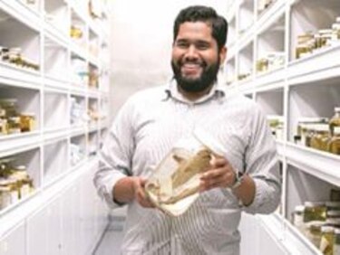 Los efectos de los cambios