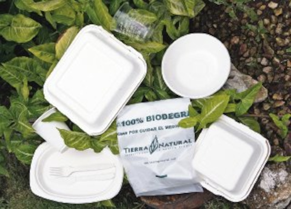 Bioplásticos: ¿los polímeros del futuro?