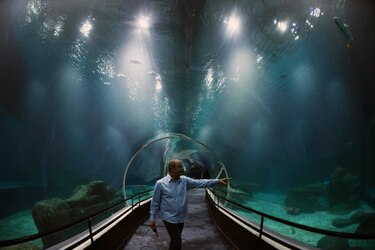 Video: Así es AquaRio, el acuario más grande de Sudamérica