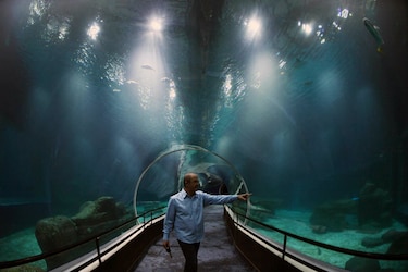 Video: Así es AquaRio, el acuario más grande de Sudamérica