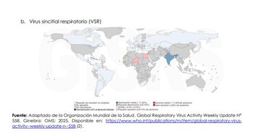 La influenza y el virus sincitial circulan de manera simultánea en Panamá