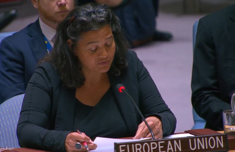 En vivo: Continúa el debate sobre la seguridad marítima, liderado por Panamá en el Consejo de Seguridad de la ONU