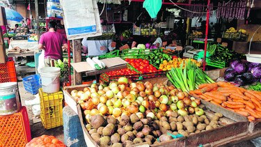 Sector agrícola azotado por las importaciones