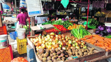 Sector agrícola azotado por las importaciones
