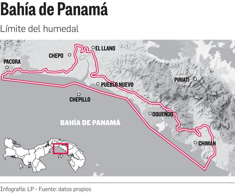 ‘Estrés hídrico’ en los manglares de la bahía de Panamá y Chame por el fenómeno de El Niño