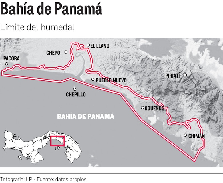‘Estrés hídrico’ en los manglares de la bahía de Panamá y Chame por el fenómeno de El Niño