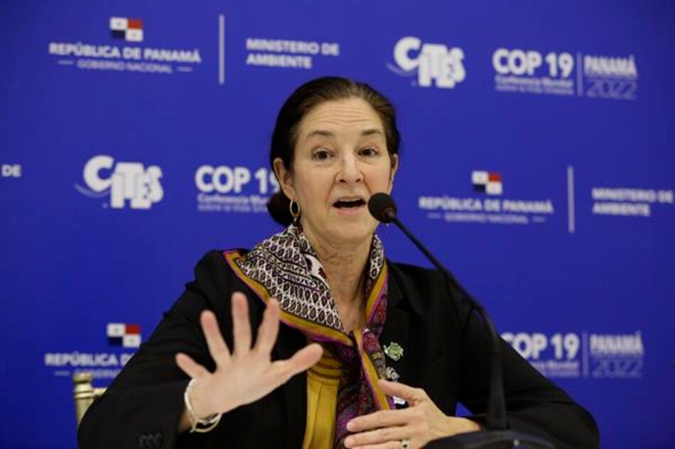 Estados Unidos, enfocado en ‘acabar con el comercio ilícito de especies en peligro’