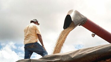 Trituradoras de soja argentinas, más cerca de exportar a China