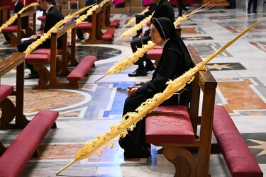 El papa celebra la misa de Ramos, con la plaza de San Pedro vacía