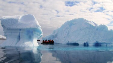 Especies invasoras listas para aprovechar el cambio climático en la Antártida