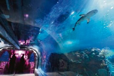 Inauguran el mayor acuario de América Latina