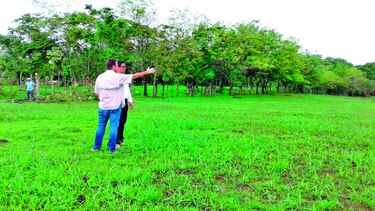 Miviot pretende dar respuesta a precaristas con finca escolar