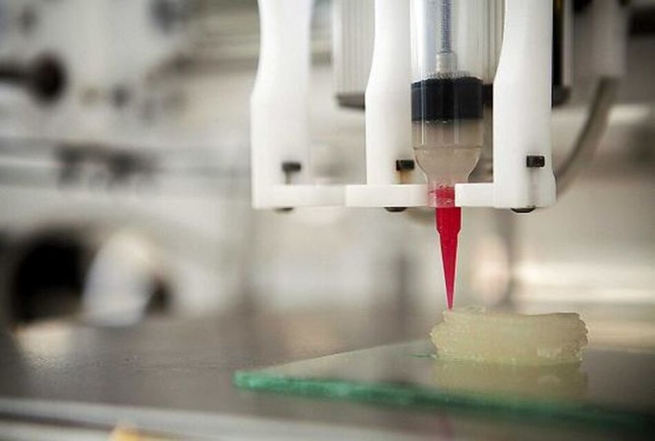 Esta vez, fabricantes de impresoras 3D podrían darle al clavo