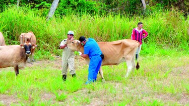 Instituto advirtió uso de antígenos poco efectivos