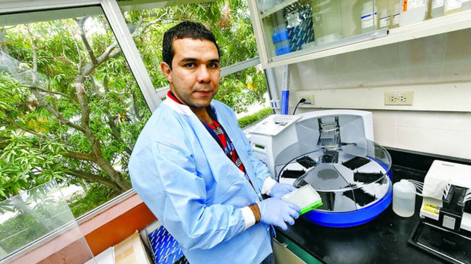 Zancudos, bajo la lupa