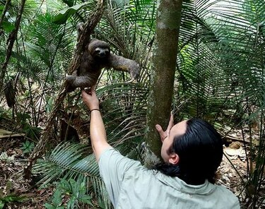 Cuando se libera la naturaleza
