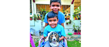 El amigable Coco