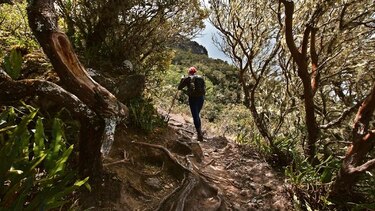 De vuelta al volcán
