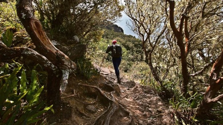 De vuelta al volcán
