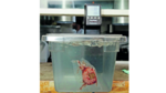 Cocina de avanzada