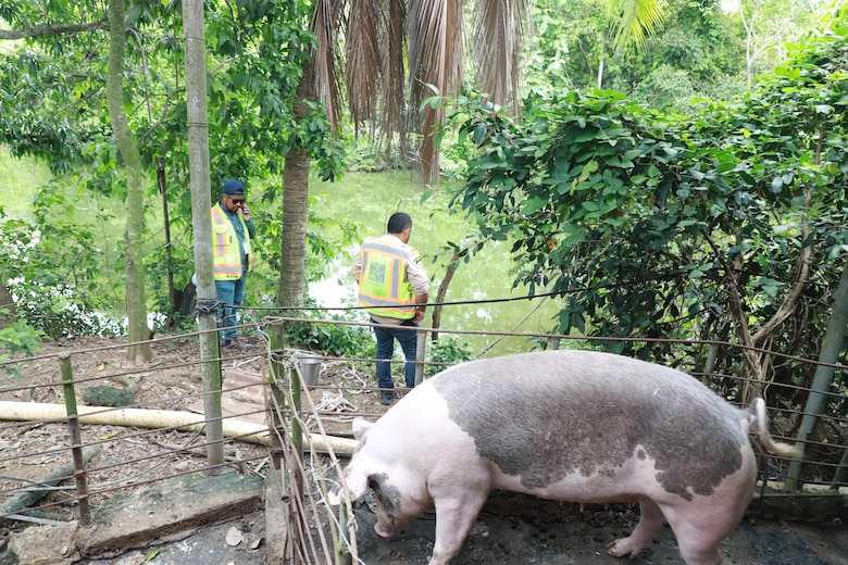 Río La Villa se estabiliza, pero plantas potabilizadoras no garantizan agua potable: Miambiente