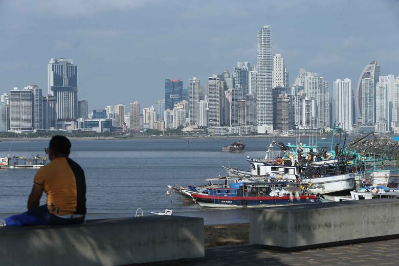 Detectan patógenos causantes de enfermedades a lo largo de la bahía de Panamá