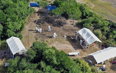 Bastaría ‘un hueso’, la búsqueda desesperada de 95,000 desaparecidos en México
