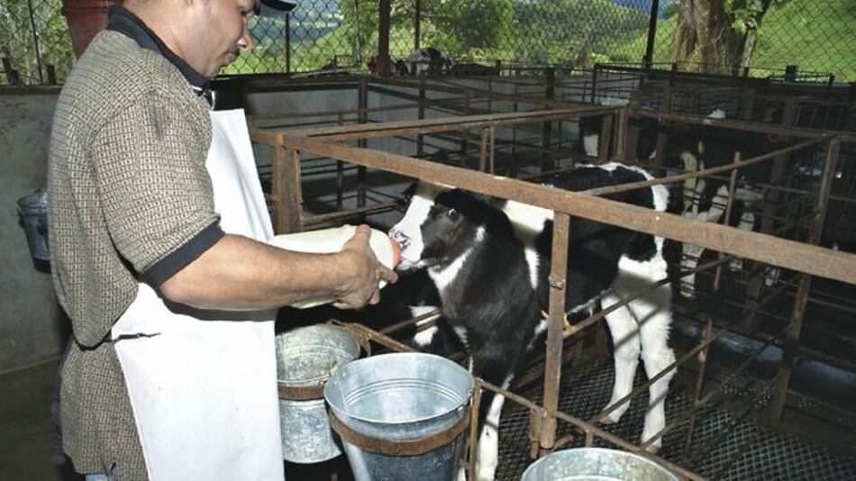 Buscan mayor sostenibilidad de las pymes