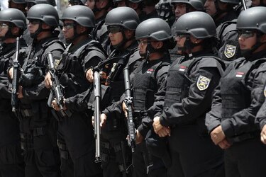 Gobierno crea Fuerza de Tarea Conjunta Águila para combatir el crimen