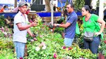 Una feria y sus recreaciones