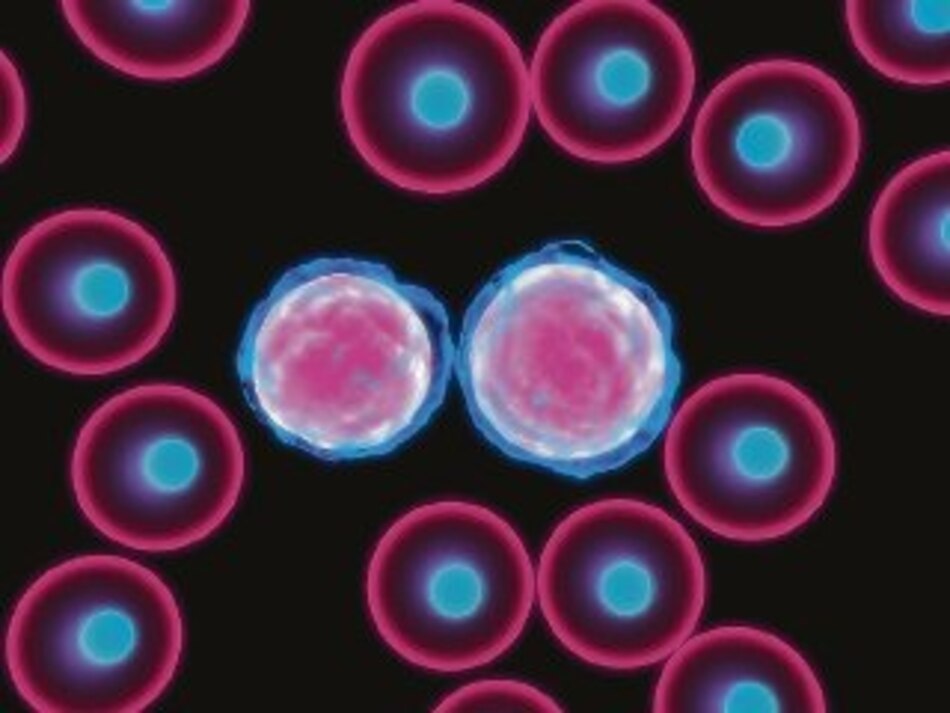 Investigadores encuentran un fármaco prometedor para tratar dos subtipos raros de leucemia