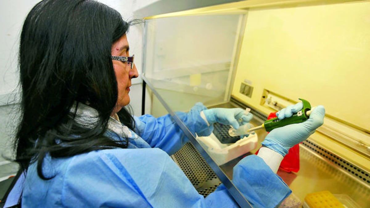Chikungunya de genotipo asiático