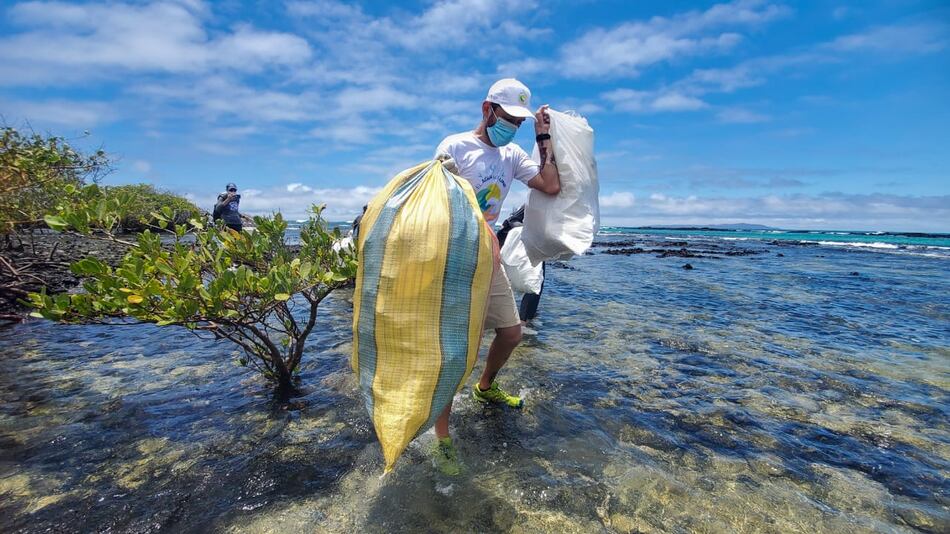Microplásticos en el mar podrían aumentar el riesgo de discapacidad neurológica