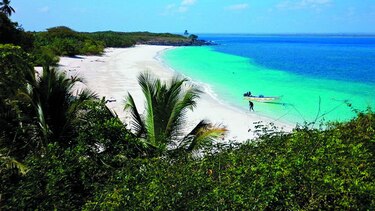Afinan detalles para la creación de patronato que administre refugio de isla Iguana